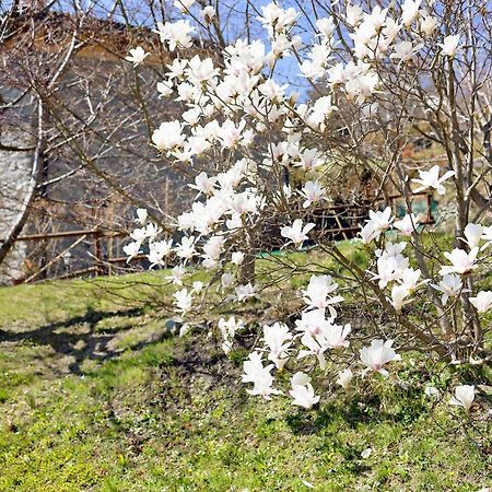 Villa Casa Dei Tigli Ormea Esterno foto