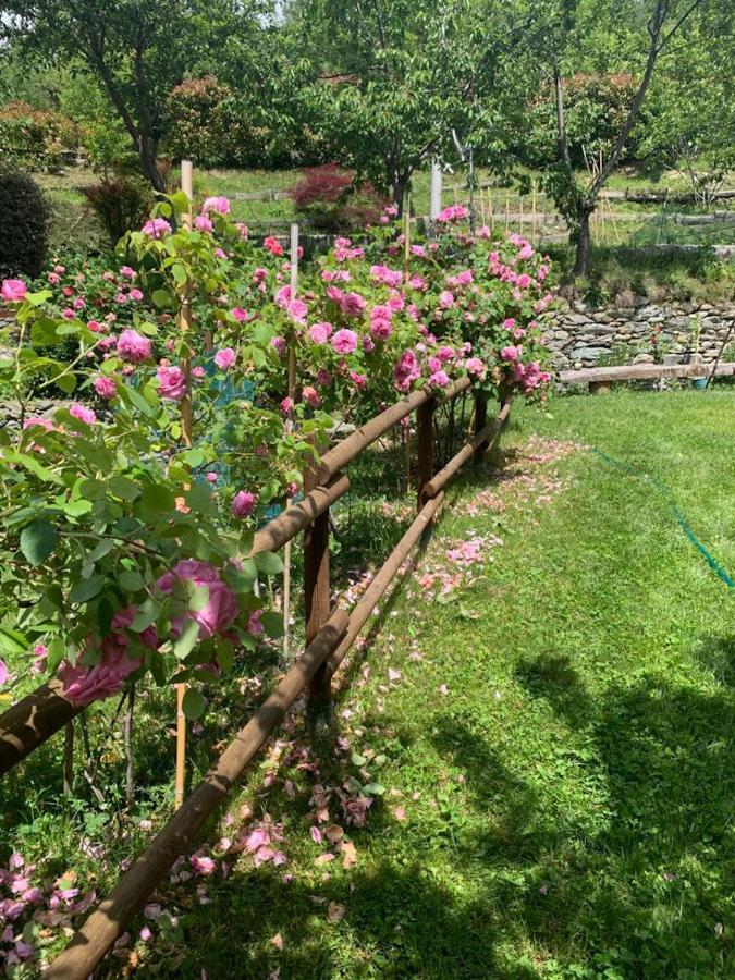 Villa Casa Dei Tigli Ormea Esterno foto